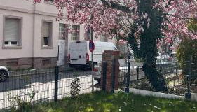 City Nest Offenbach - Foto 5, Garden view