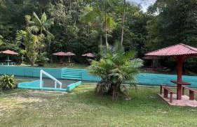 Casa com Igarapé - Photo 7