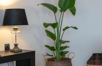 Villa Campagna - Foto 26