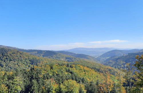 Domek Ostoja - Foto 54