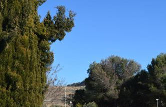 Casa Monegros - Foto 31