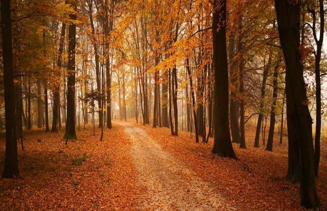 Holiday Home in Dobczyce Near Ski Lift - Foto 21