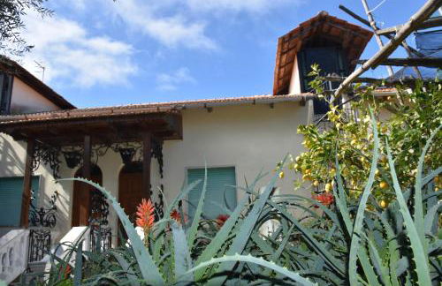 De Gregorio - Foto 2