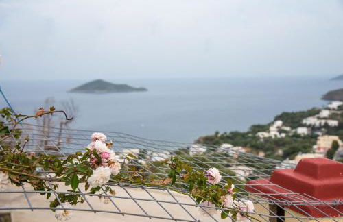 Mike's Guesthouse - Foto 12