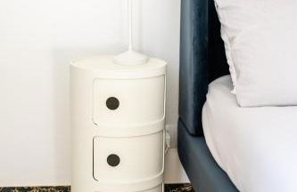 Helianthus - Photo 16