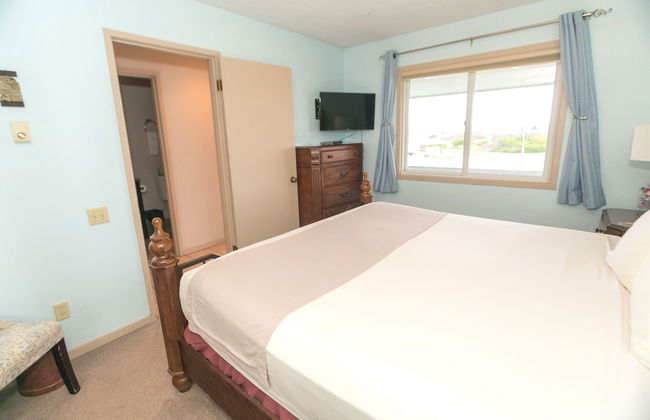 The Grey Gull - Foto 68