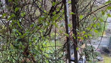 Schöne Wohnung in zentraler Lage im Ruhrgebiet - Foto 4