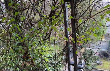 Schöne Wohnung in zentraler Lage im Ruhrgebiet - Photo 4