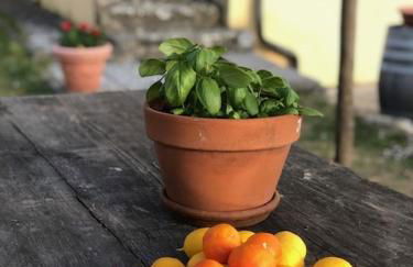 Agriturismo La Posta Reale - Foto 99