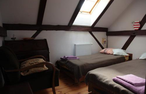 Orlik Mazury - Foto 11