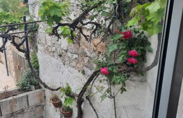 Old Town Rab appartment Ivana - Foto 17