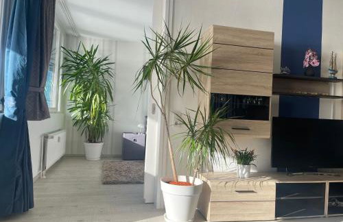 Ferienwohnung Wolke 7 - Foto 6