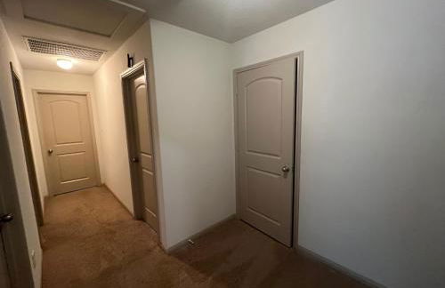 Magnolia Blooms - Foto 13