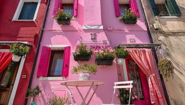 Pink Paradise - Foto 3
