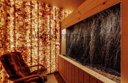 Jaworki Prestige SPA - Photo 18