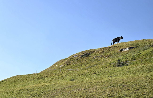 Rustico Cà dru Lurenz - Photo 23