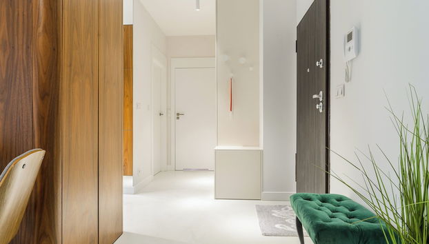 Lumina lux apart near Uprising Museum - Foto 2, Entrada interior