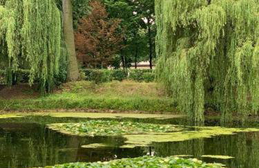 EUROPA22 Apartament z tarasem - CENTRUM MIASTA Tomaszów Maz - Foto 19