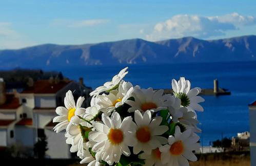 Beautyful sea view 6 luxury studio Danijela 1 - Foto 26