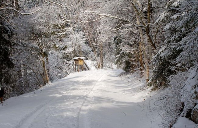 Doppelhaushalfte in Hasselfelde - Foto 21