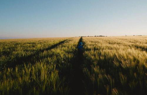 Fifies - Your Seaside Bolthole - Foto 9