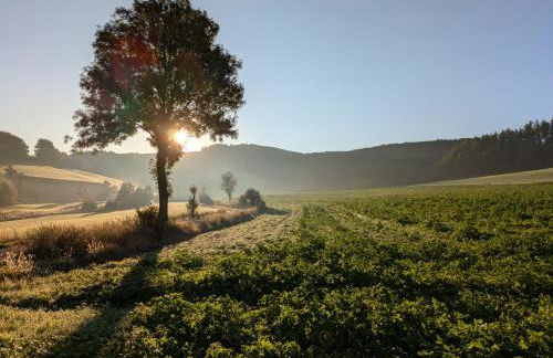 Fuchsbau Sorpesee - Foto 8