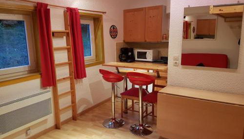 STUDIO CHALEUREUX aux pieds des pistes de ski des Glovettes - Foto 4