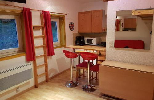 STUDIO CHALEUREUX aux pieds des pistes de ski des Glovettes - Foto 4