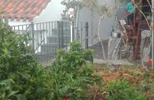 San Borondón - Foto 69