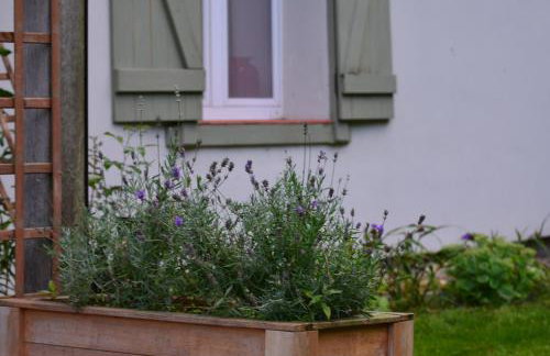 Dom na Warmii -Siedlisko Jabłonka - Foto 51