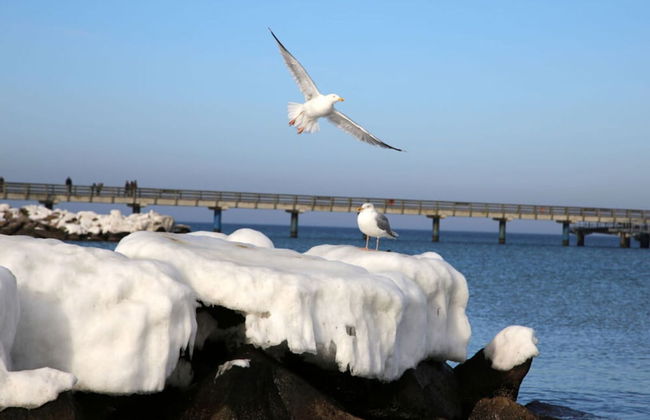 Ostseeliebe Comfortable Holiday Residence - Foto 23