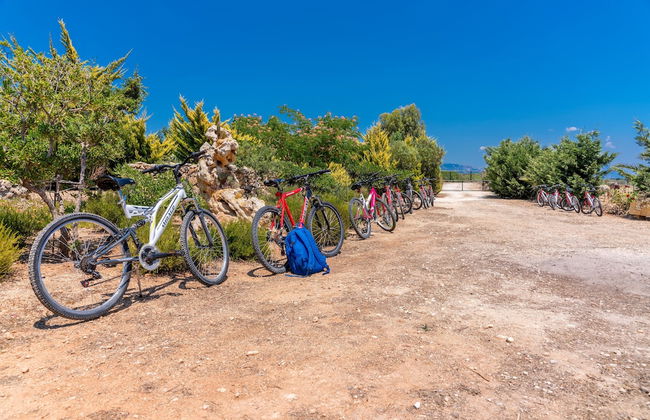 Skinos ilivatos Boutique Eco Villa - Foto 39