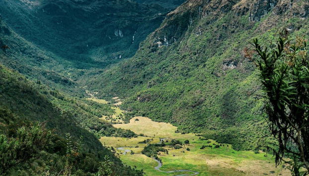 Views of the National Park