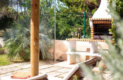 Baulo Pleta - Foto 6