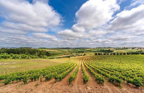 Villa Adão Lobo - Foto 62