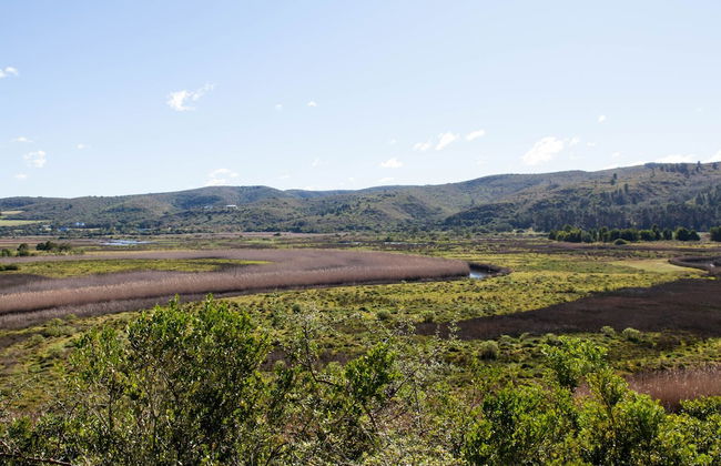 Emily Moon River Lodge - Foto 78