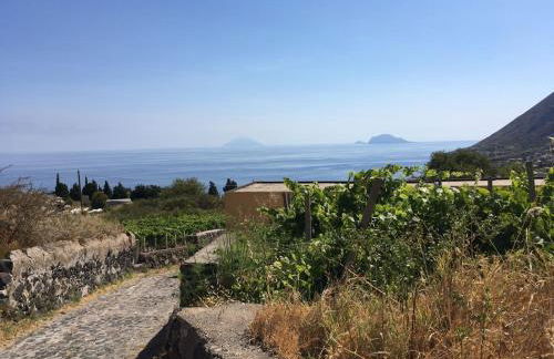 la casa di titti e jack - Foto 61