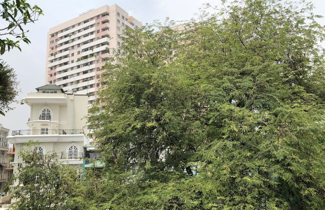 Tropical House - Foto 52