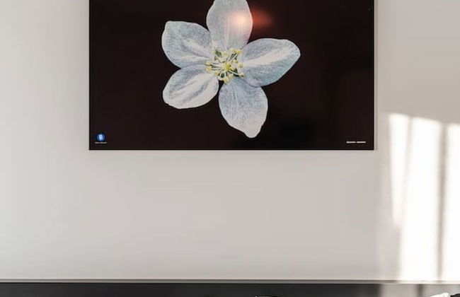 Expansive Apartment With Beach Access - Jasemin - Photo 2