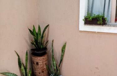 Esmeralda engenharia - Foto 18