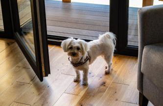 Buńdowe Wzgórze domki na wynajem - Foto 44