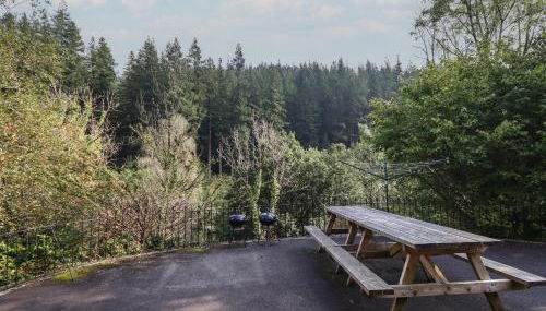 Bryn Cemlyn - Foto 2