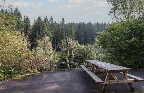 Bryn Cemlyn - Foto 2