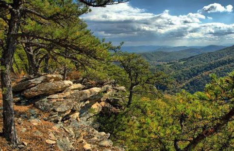 3BR Pet Friendly Cottage Mathias WV - Foto 37