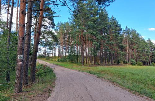 Domek nad strużką - Foto 21