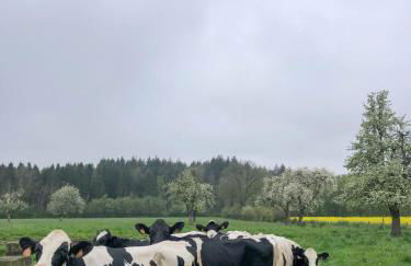 Le Presbytère, maison de campagne familiale - Foto 41
