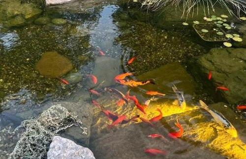 Channel Islands Beach Retreat - Photo 47