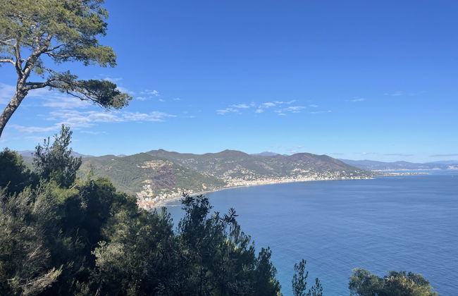 Apartment A1 (AND110) - Foto 21