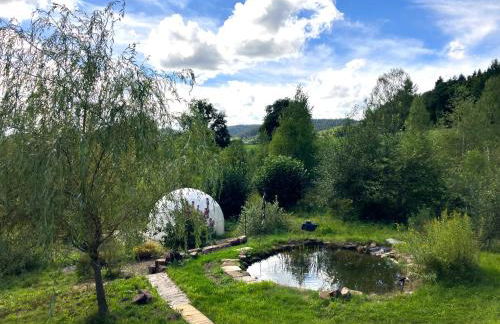 Le printemps, gîte nature - Foto 14