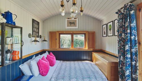 Curious Calf - Foto 4